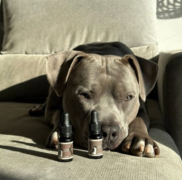 Aceite 5% CBD - Duvets - Imagen 2
